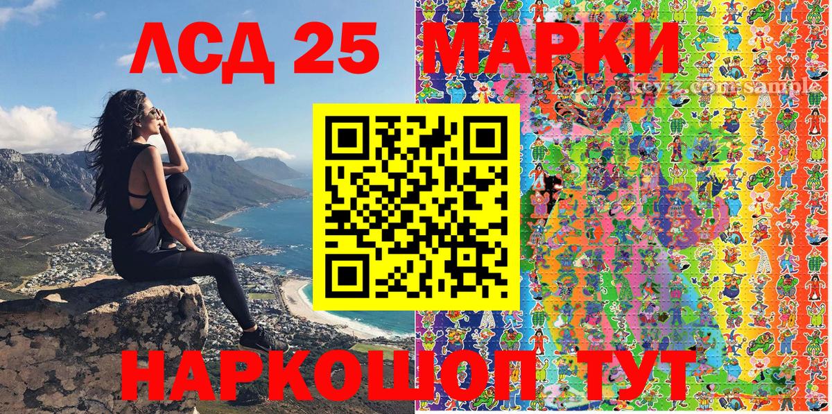 Губкин  Марки N-bome 1500мкг  Вход с VPN  Марки N-bome 1500мкг 