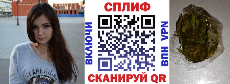 купить   Губкин  Бошки Шишки Ganja 